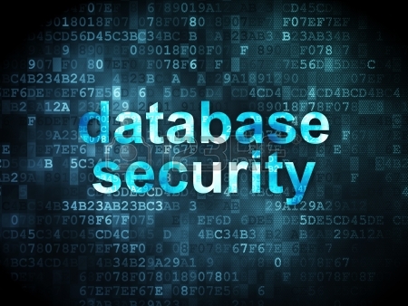 soutechventures web development training Database-Security